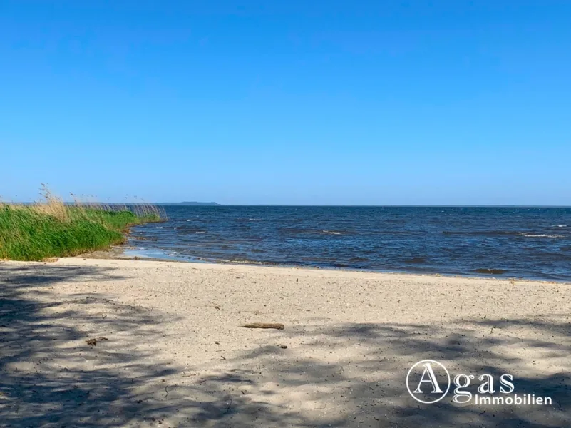 Badestrand am Stettiner Haff Ansicht 1