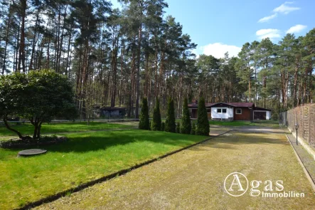 Grundstück - Haus kaufen in Borkheide - Sehr gepflegter Bungalow mit Garage auf liebevoll angelegtem Grundstück in Borkheide