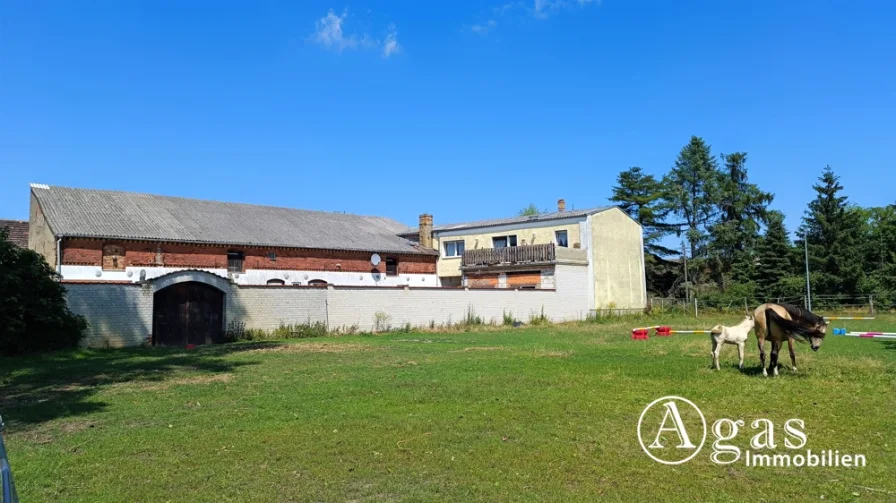 3-Seiten-Hof - Haus kaufen in Niederer Fläming / Waltersdorf - bezugsfreier 3-Seiten-Pferde-Hof mit großer Fläche und Sonnen-Grundstück im schönen Niederer Fläming