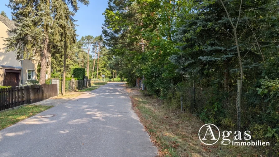 Straße vor dem Grundstück - Grundstück kaufen in Borkheide - Großzügiges, bauträgerfreies Grundstück in Borkheide