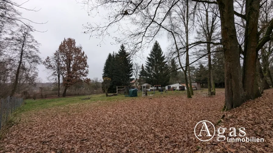 Titel - Haus kaufen in Schildow - Natur pur - 5.700 m² großes Grundstück mit Bungalow in ruhiger Schildower Ortsrandlage