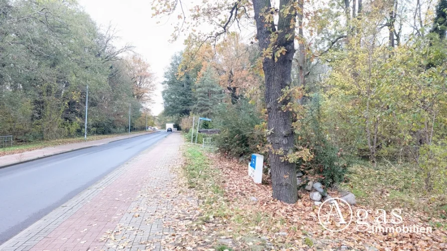 Straße am Grundstück