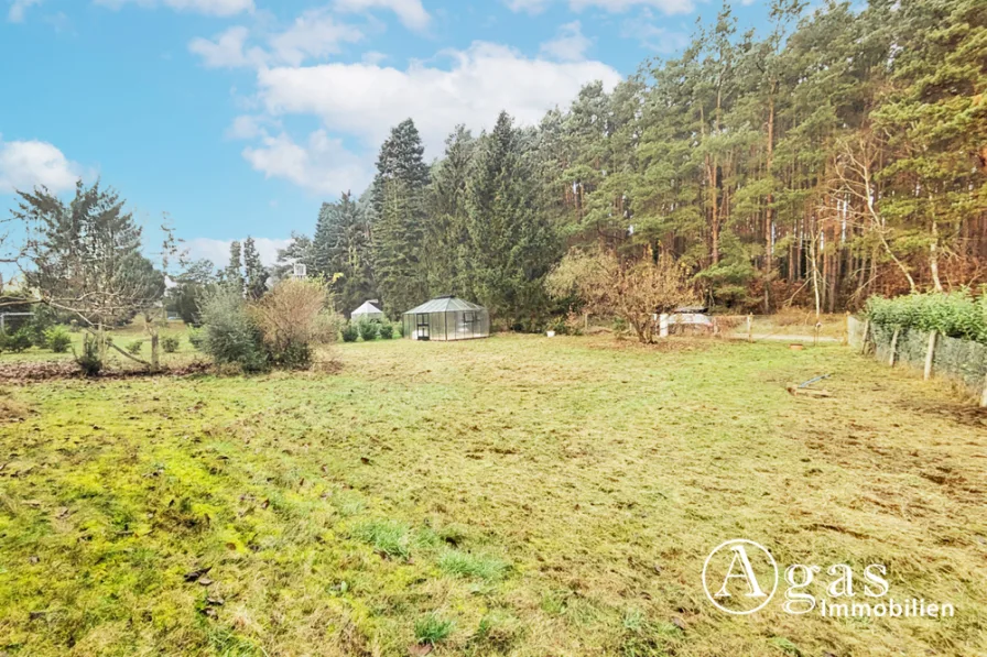 Grundstück mit Blick auf den Wald - Grundstück kaufen in Reichenwalde - Ihr Traum von Erholung: Waldblick-Baugrundstück, provisionsfrei, erschlossen, verkehrsberuhigt