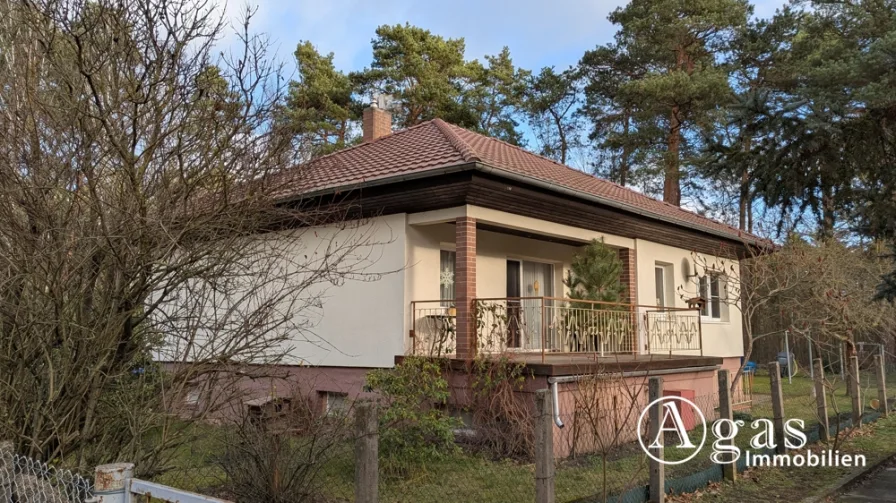 Ansicht Haus und Terrasse - Haus kaufen in Heideblick / Walddrehna - gepflegtes Einfamilienhaus mit großem Garten