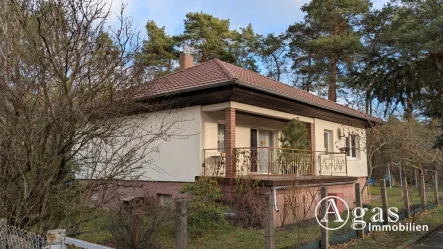 Ansicht Haus und Terrasse - Haus kaufen in Heideblick / Walddrehna - gepflegtes Einfamilienhaus mit großem Garten