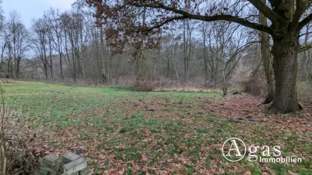 Titel - Grundstück kaufen in Schildow - Natur pur - 5.700 m² großes Grundstück mit Bungalow in ruhiger Schildower Ortsrandlage