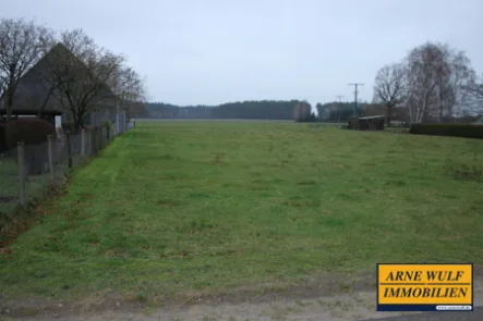 Blick auf das Grundstück - Grundstück kaufen in Tewswoos - Randerschlossenes Baugrundstück in ruhiger Randlage in Tewswoos - weiter Ausblick zum Wald