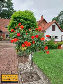 Garten - Haus kaufen in Lüblow - Hier kann man sofort einziehen - modernisiertes, großzügiges Einfamilienhaus in Lüblow / Ludwigslust