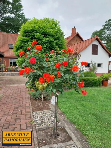 Garten - Haus kaufen in Lüblow - Hier kann man sofort einziehen - modernisiertes, großzügiges Einfamilienhaus in Lüblow / Ludwigslust