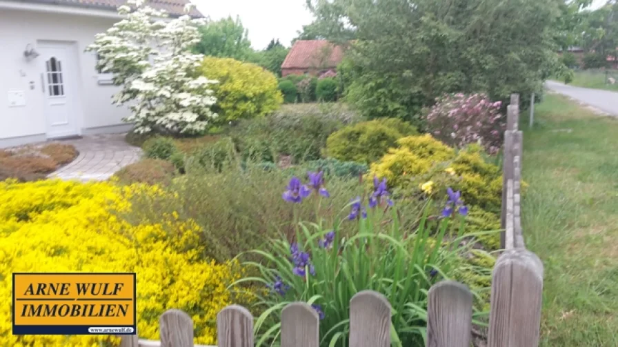 Garten vor dem Haus