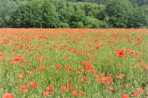 Rügen: auch im Inneren schön