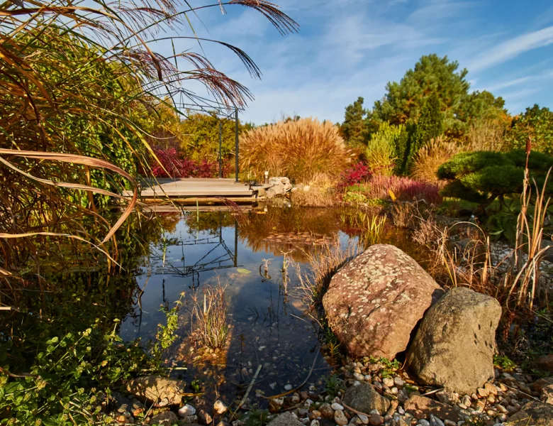 Herbstteich