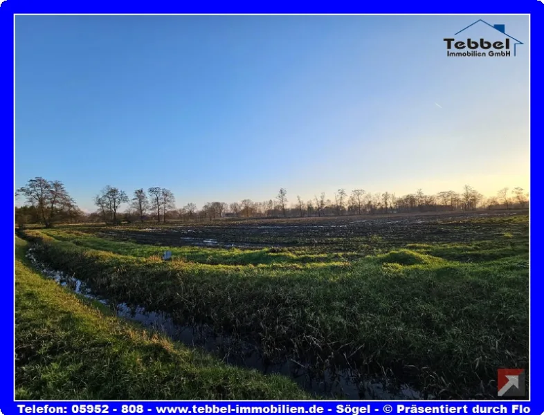 Ansicht - Grundstück kaufen in Rhauderfehn - Gründland / Ackerland in Burlage