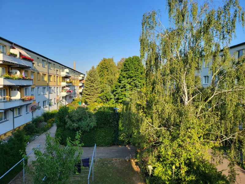 Ausblick vom Ostbalkon