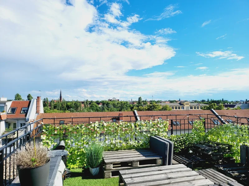 Dachterrasse Panoramablick 2