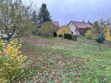 Gartenansicht - Haus kaufen in Vetschau - Handwerker aufgepasst, großer 3-Seitenhof zum Entwickeln zu verkaufen!