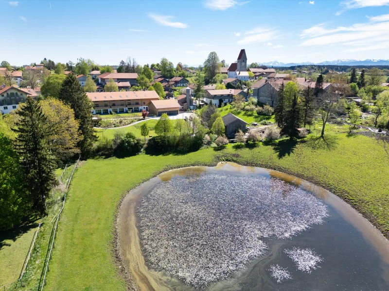 WIESEN, WÄLDER & EIN WEIHER - In dieser Idylle entflieht man dem Lärm und der Hektik der Großstadt 