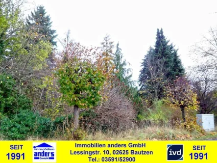 Grundstück - Grundstück kaufen in Neuhammer - Nowy Hamor - Grundstück mit Gartenlaube zwischen Boxberg und Niesky
