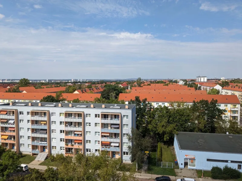 Aussicht Nord 1767027 immoHAL - Wohnung mieten in Halle - Frisch saniert und mit Lift. 2-Raum-Wohnung in Halles Süden.