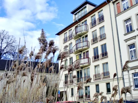 Hausansicht - Wohnung kaufen in Halle - Mitten in der Innenstadt - mit Balkon, Aufzug und treuem Mieter