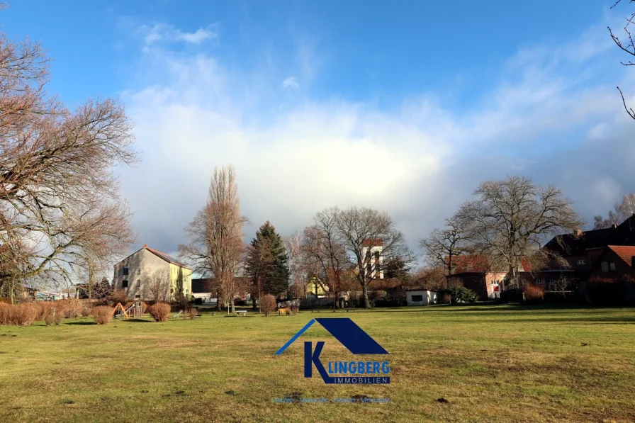 Ausblick auf Wiese