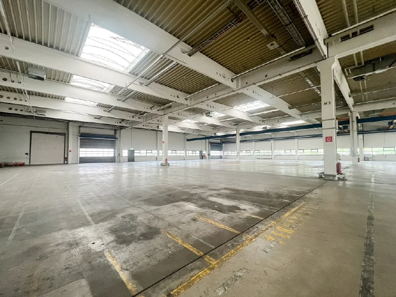 Innenansicht - Halle/Lager/Produktion mieten in Dresden - Beste Autobahnanbindung zur A 4 | ca. 5.200 m² Hallenfläche mit Kran zur Miete