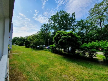 Blick vom Balkon - Wohnung mieten in Dresden - ++ 2 Raumwohnung mit Einbauküche mieten!++