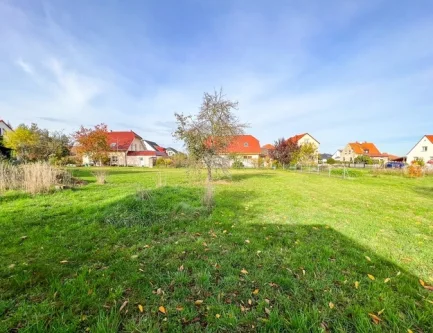 Impressionen - Grundstück kaufen in Großerkmannsdorf - Bauträgerfreies Baugrundstück zur Errichtung eines Einfamilienhauses an der Dresdner Heide