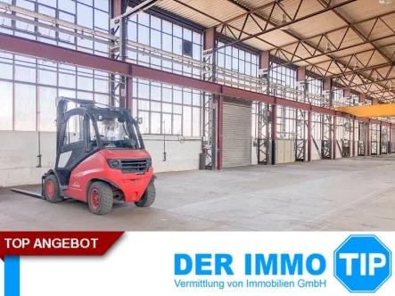 Innenansicht - Halle/Lager/Produktion mieten in Dresden - Rund 2.000 m² Halle mit 5t, 10t, 25t Kranbahn in Dresden zur Miete