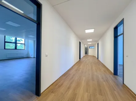 Innenansicht - Büro/Praxis mieten in Dresden - Moderne Büroflächen im Erstbezug mieten! Teilbar ab 40 - 530 m²!