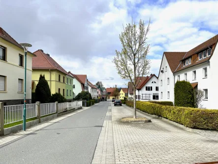 Umgebung Zufahrtsstraße - Haus kaufen in Neustadt/ Sa. - Lukrative Kapitalanlage in nachgefragter Wohnlage