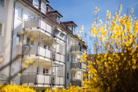Rückansicht - Wohnung kaufen in Dresden - Ihre Investmentchance im Dresdner Westen -  Aufzug, Balkon, 2 Stellplätze, Miete sofort steigerbar.