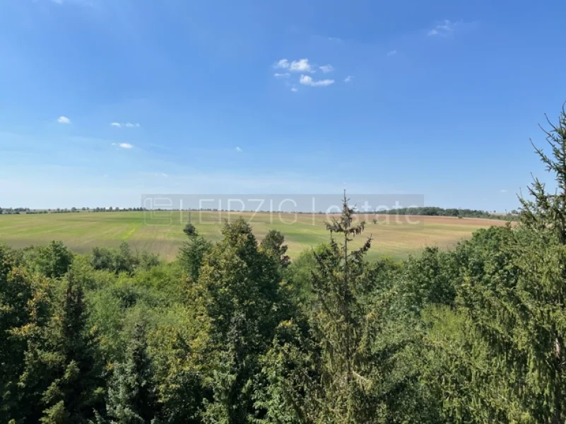 Aussicht aus Sz - Wohnung mieten in Weißenfels - renovierte 3-Raum-Wohnung, im 4. OG, mit Blk, Bad Wanne u. Fenster, Südring 90b