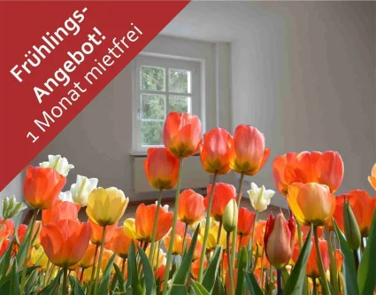 Aktion! - Wohnung mieten in Zwickau - +++ 1 Monat mietfrei! Helle 2 Raumwohnung mit großer Wohnküche +++