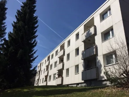 Haus - Wohnung mieten in Bad Steben - +++ Helle 2,5 Raumwohnung mit Balkon und EBK +++