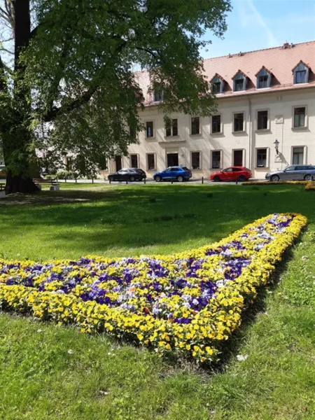 Außenansicht - Wohnung mieten in Glauchau - +++ 3 Raumwohnung in Glauchau +++