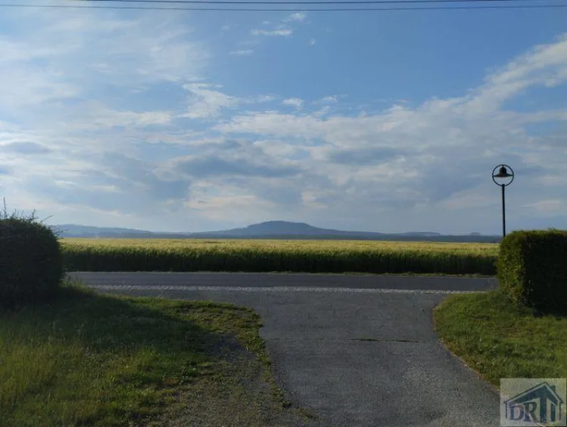 freier Blick vom Grundstück