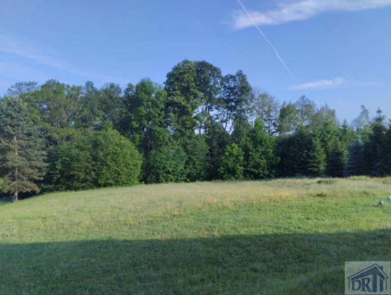 große Wiese als Hinterland