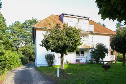 Hausansicht - Wohnung kaufen in Dresden - Singlewohnung mit Terrasse und Gartenanteil