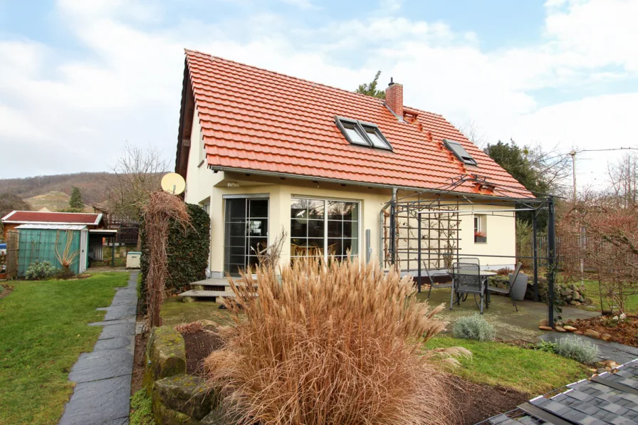 Hausansicht vom Garten - Haus kaufen in Dresden - Wohnen an den Weinbergen - Sofortiger Einzug möglich!