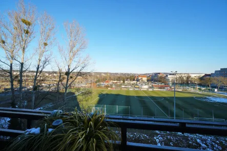 Balkonblick - Wohnung kaufen in Dresden / Johannstadt - Johannstädter Aussicht