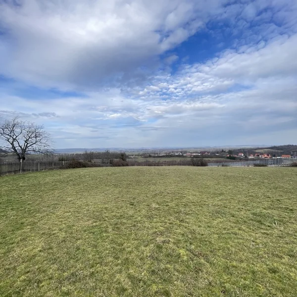 Aussicht - Grundstück kaufen in Bad Suderode - Letztes Baugrundstück mit tollem Blick ins Harzvorland