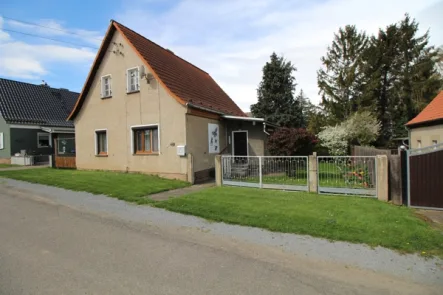 Ansicht - Haus kaufen in Radisleben - Haus für die kleine Familie oder jung gebliebene Naturliebhaber