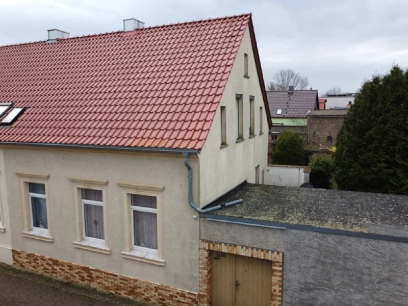 Straßenansicht - Haus kaufen in Schneidlingen - Doppelhaushälfte mit Platz für die Familie