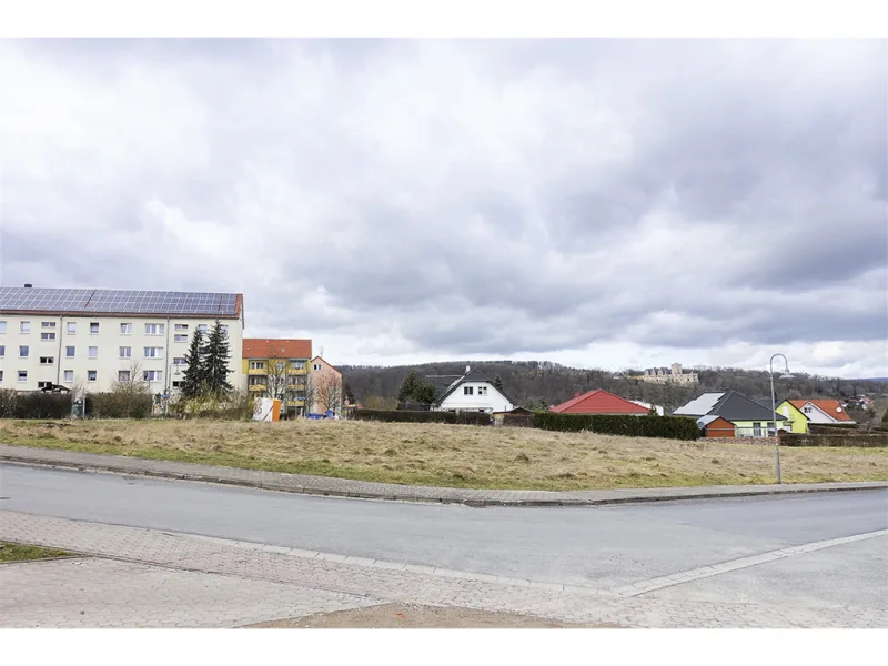 Blick Richtung Oberschloss von Kranichfeld