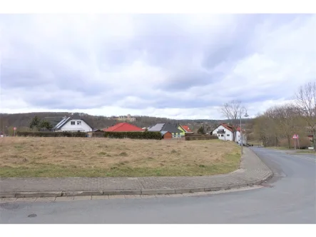 Blick auf das Grundstück 3 - Grundstück kaufen in Kranichfeld - Kleines bauträgerfreies Baugrundstück für EFH mit traumhaften Blick auf das Oberschloss von Kranichfeld