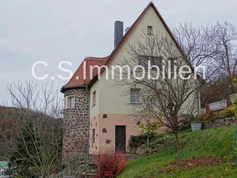 Hausansicht - Haus kaufen in Meißen - Historisches Einfamilienhaus, liebevoll saniert!