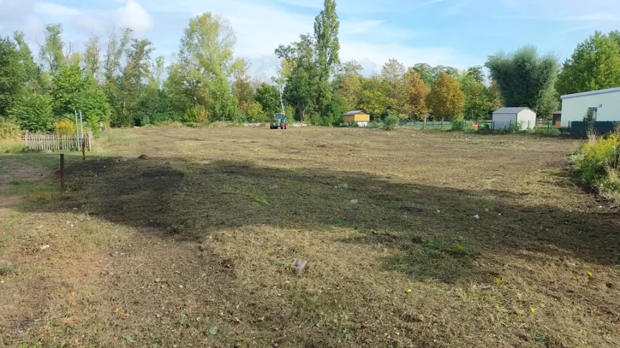 Baufeld - Grundstück kaufen in Braunsbedra / Großkayna - So schön könnte Ihr neues Zuhause sein**Baugrundstück in Großkayna**