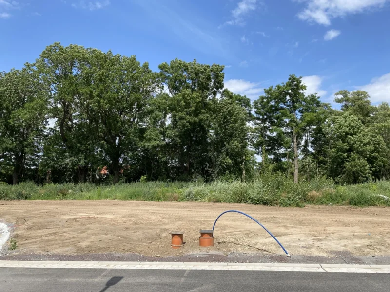 Grundstückszufahrt - Grundstück kaufen in Aschersleben - Der Blick ins Grüne aus Ihrem neuen ScanHaus!