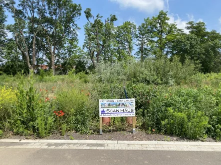 Ansicht - Grundstück kaufen in Aschersleben - Ein Baugrundstück mit Blick ins Grüne wartet auf Sie!